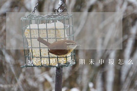 水利基金逾期未申报怎么办 水利基金逾期未申报怎么办