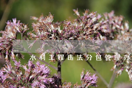 水利工程违法分包管理办法
