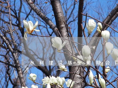 水利建设基金逾期会罚款吗