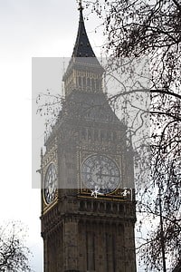 水利建设基金逾期申报要处罚吗 水利建设基金逾期申报要处罚吗