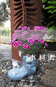 水利法规一书 水利法规一书