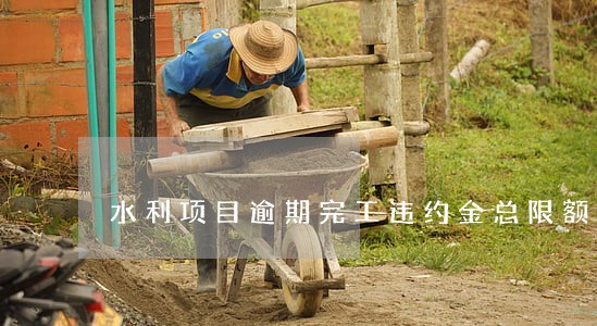 水利项目逾期完工违约金总限额