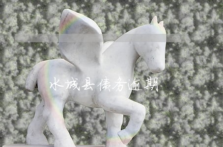 水城县债务逾期 水城县债务逾期