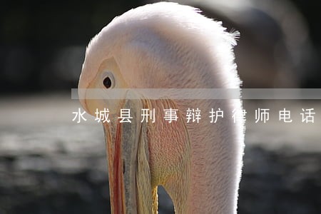 水城县刑事辩护律师电话咨询 水城县刑事辩护律师电话咨询