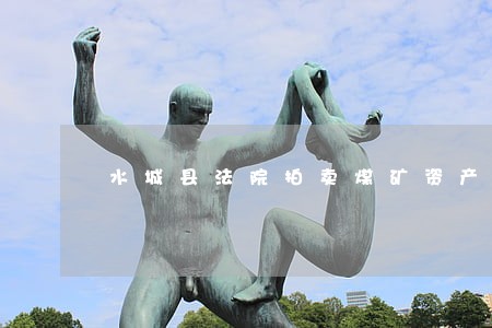 水城县法院拍卖煤矿资产 水城县法院拍卖煤矿资产