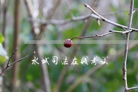 水城司法在线考试 水城司法在线考试