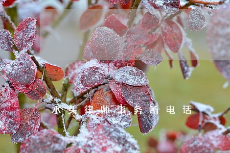 水头律师事务所电话 水头律师事务所电话