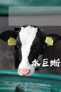 水巨蜥是违法动物吗 水巨蜥是违法动物吗