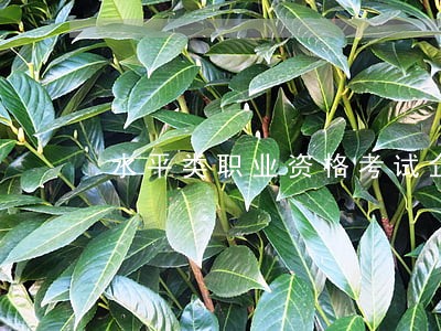 水平类职业资格考试企业法律顾问 水平类职业资格考试企业法律顾问