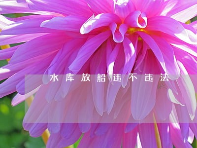 水库放船违不违法 水库放船违不违法