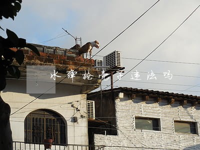 水弹枪壳子违法吗 水弹枪壳子违法吗