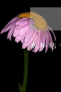 水杯店有什行为是违法的 水杯店有什行为是违法的