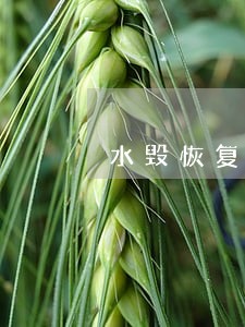 水毁恢复工程如果逾期将怎么办 水毁恢复工程如果逾期将怎么办