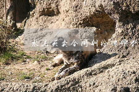 水泥买卖合同纠纷律师费用