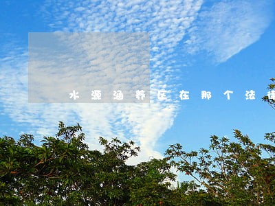 水源涵养区在那个法律条文里 水源涵养区在那个法律条文里
