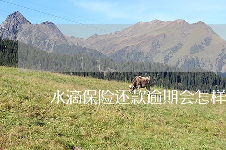 水滴保险还款逾期会怎样 水滴保险还款逾期会怎样