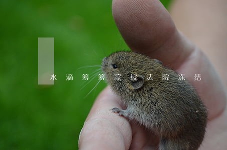 水滴筹筹款被法院冻结 水滴筹筹款被法院冻结