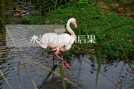 水滴筹逾期后果