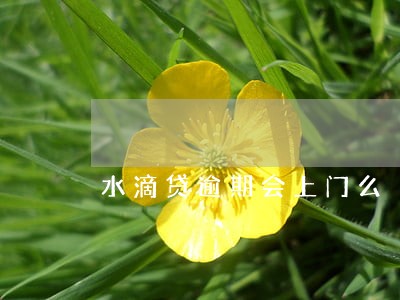 水滴贷逾期会上门么 水滴贷逾期会上门么