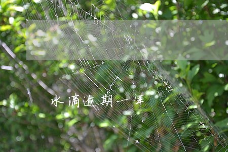 水滴逾期一年 水滴逾期一年
