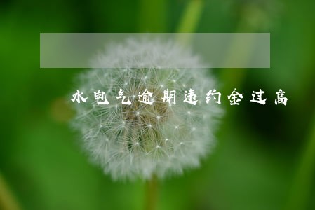 水电气逾期违约金过高