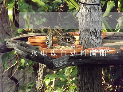 水电煤自动扣逾期 水电煤自动扣逾期