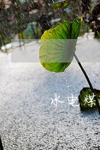 水电煤逾期会罚款吗 水电煤逾期会罚款吗