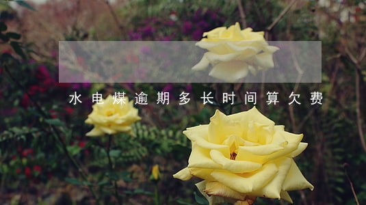 水电煤逾期多长时间算欠费 水电煤逾期多长时间算欠费