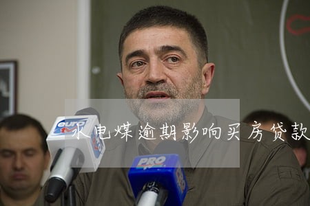 水电煤逾期影响买房贷款 水电煤逾期影响买房贷款