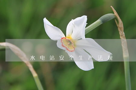 水电站安全生产法规