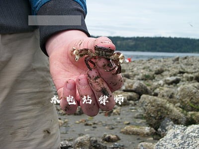 水电站律师