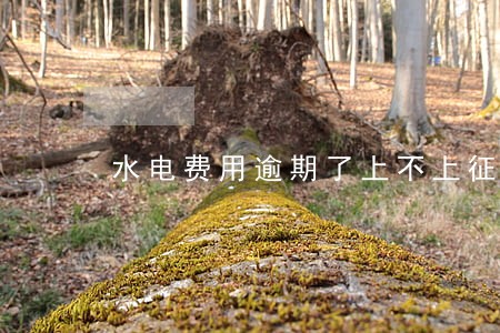 水电费用逾期了上不上征信 水电费用逾期了上不上征信
