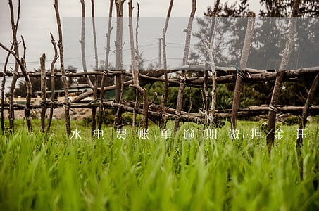 水电费账单逾期做押金违约 水电费账单逾期做押金违约