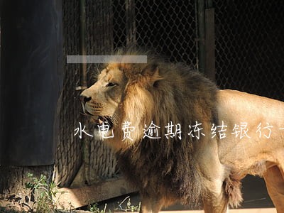 水电费逾期冻结银行卡 水电费逾期冻结银行卡