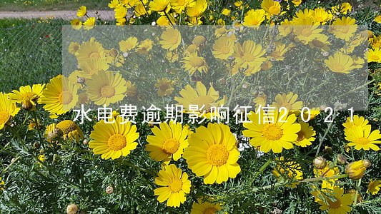 水电费逾期影响征信2021 水电费逾期影响征信2021
