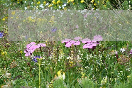 水电费逾期征信信用 水电费逾期征信信用