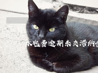 水电费逾期未交滞纳金 水电费逾期未交滞纳金