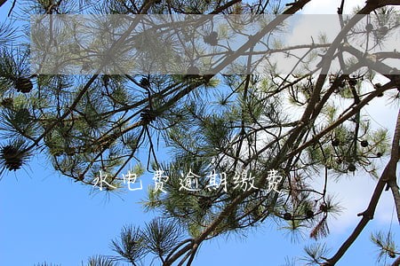 水电费逾期缴费
