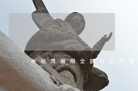 水电费逾期金额可以开发票吗 水电费逾期金额可以开发票吗