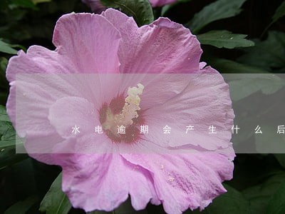 水电逾期会产生什么后果