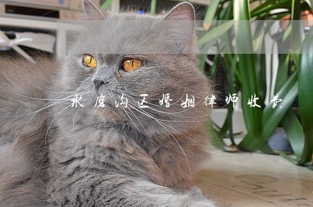 水磨沟区婚姻律师收费 水磨沟区婚姻律师收费
