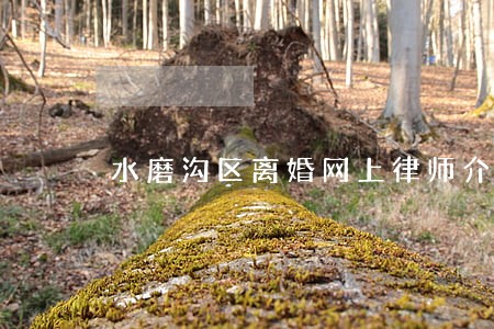 水磨沟区离婚网上律师介绍 水磨沟区离婚网上律师介绍