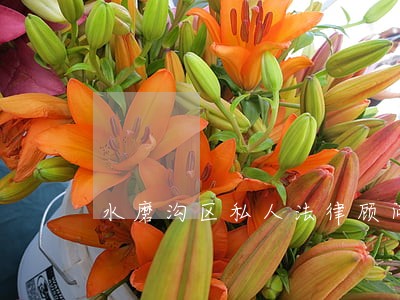 水磨沟区私人法律顾问咨询费用 水磨沟区私人法律顾问咨询费用