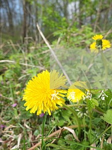 水磨沟合同纠纷律师 水磨沟合同纠纷律师