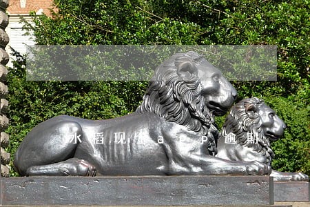 水稻现金app逾期 水稻现金app逾期