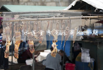 水莲金条有没有人逾期 水莲金条有没有人逾期