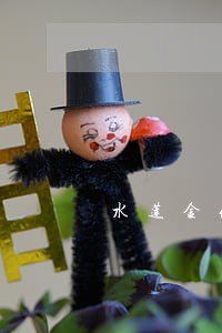 水莲金条逾期一天有事没 水莲金条逾期一天有事没