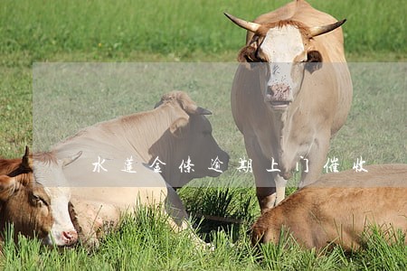 水莲金条逾期上门催收 水莲金条逾期上门催收