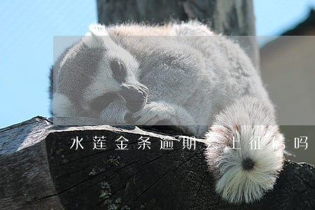 水莲金条逾期会上征信吗 水莲金条逾期会上征信吗