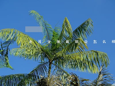水莲金条逾期会怎么样 水莲金条逾期会怎么样